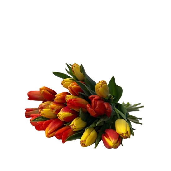 Buchet de Flori - 21 Lalele