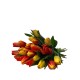 Buchet de Flori - 21 Lalele