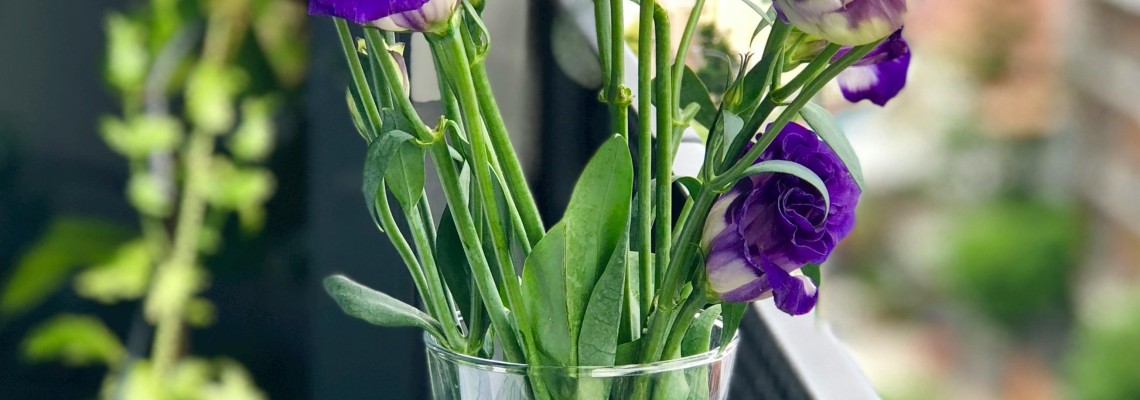 Florile – cea mai frumoasă urare de însănătoșire grabnică