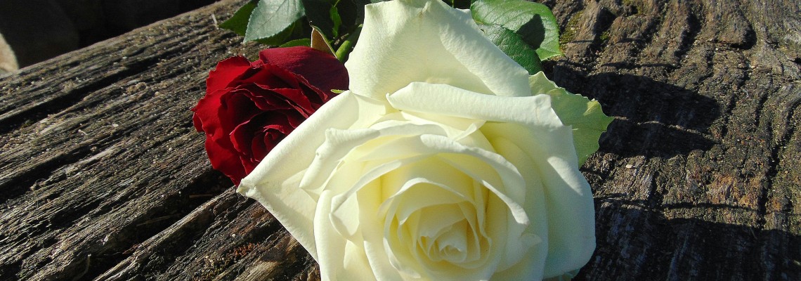 Aranjamente florale speciale pentru cei dragi