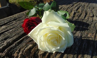 Aranjamente florale speciale pentru cei dragi